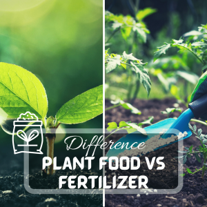 Plant food vs Fertilizer