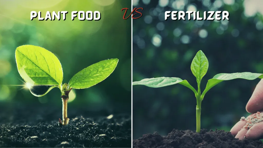 Plant-food-vs-Fertilizer