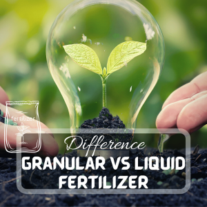 Granular Vs Liquid Fertilizers for Plants