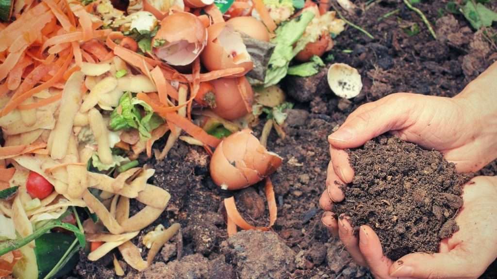 Fertilizer FAQ, compost