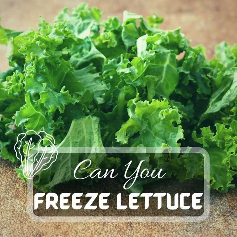 Can You Freeze Lettuce?