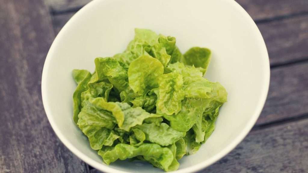 How To Defrost Lettuce?