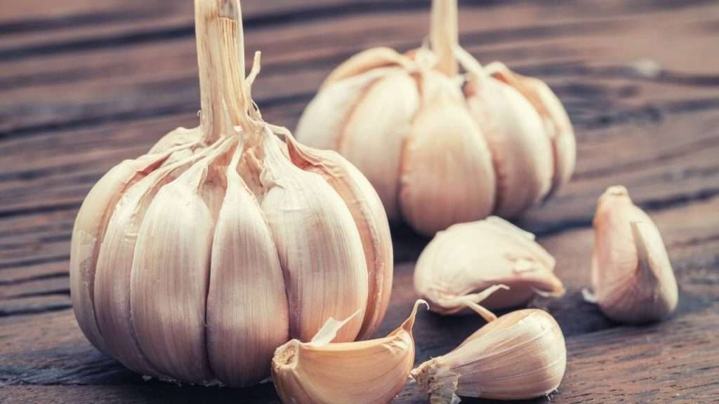 How To Grow Garlic - Prepare Garlic Cloves