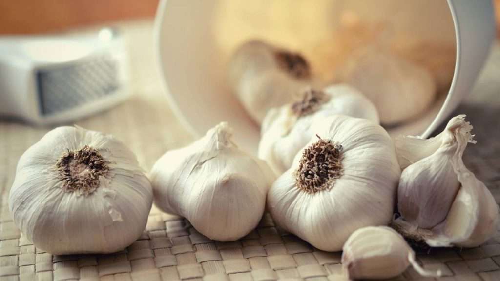 How To Grow Garlic – Easy Step By Step Guide (7 Steps)