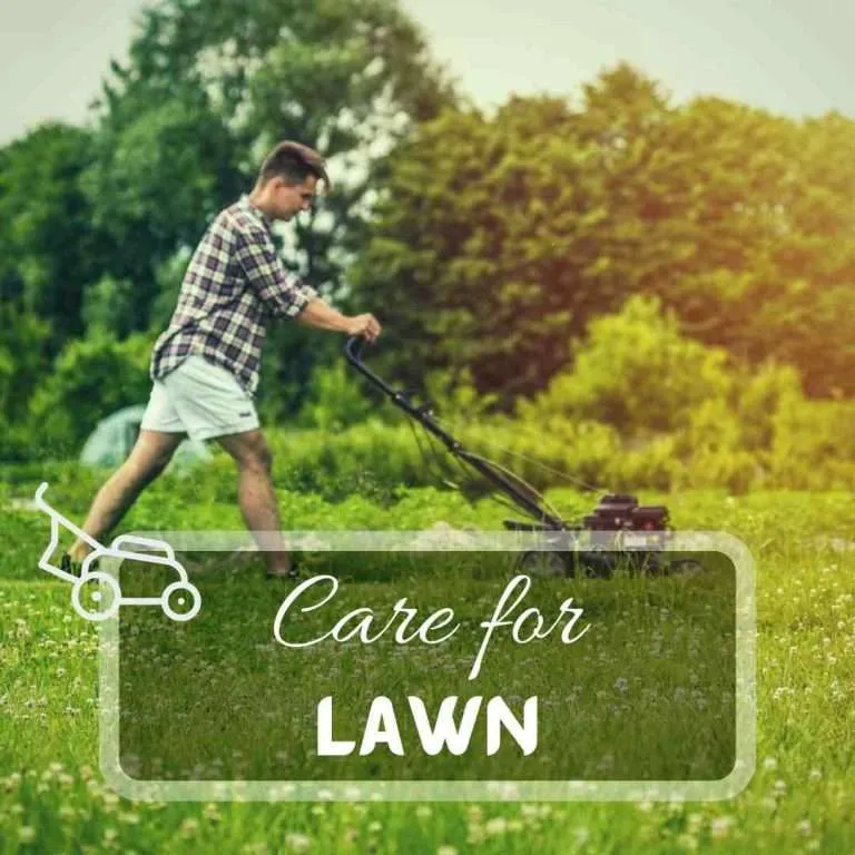 Lawn Care www.justpuregardening.com