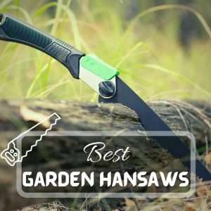 Best Handsaws for Cutting Trees Futured