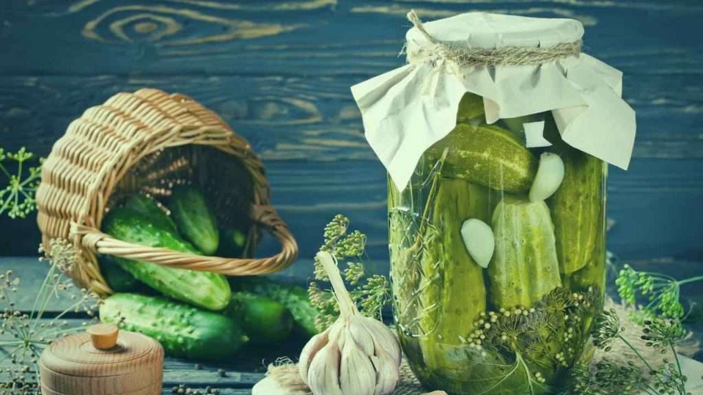 What To Do With Overgrown Cucumbers. Pickle Overgrown Cucumbers