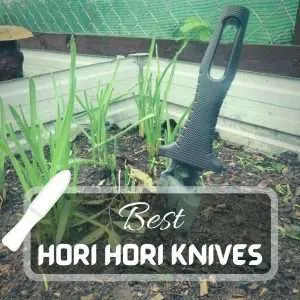 Best Hori Hori Garden Knives (Japanese Gardening Knives)