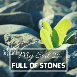 My Soil Is Full Of Stones. How to Improve The Soil Quality Futured