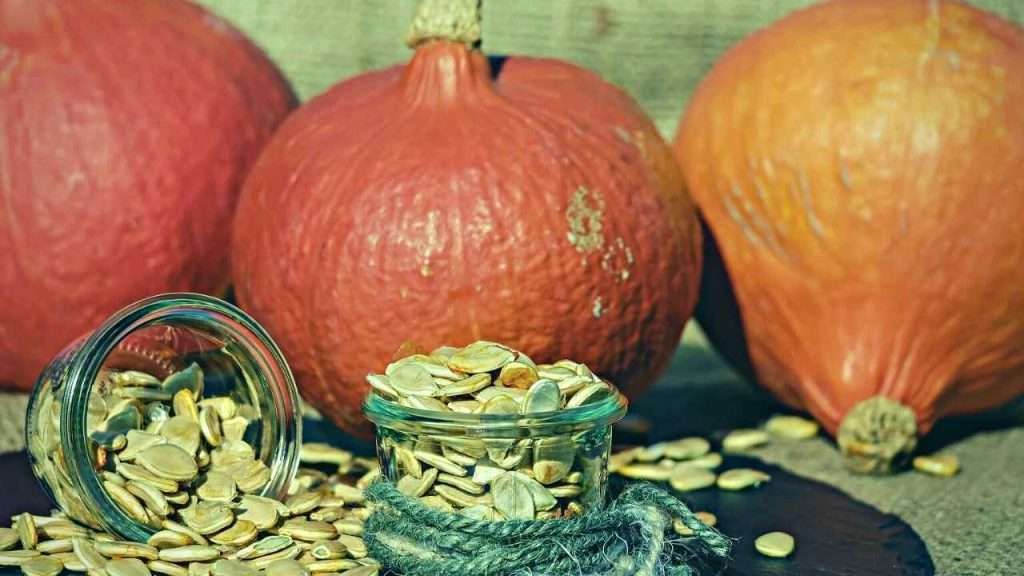 Can You Plant Pumpkin Seeds Straight From The Pumpkin?
