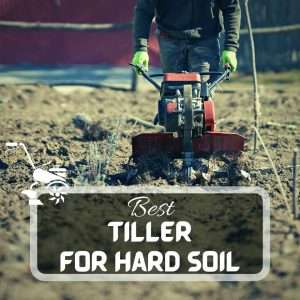 Best Tiller For Hard Soil Futured