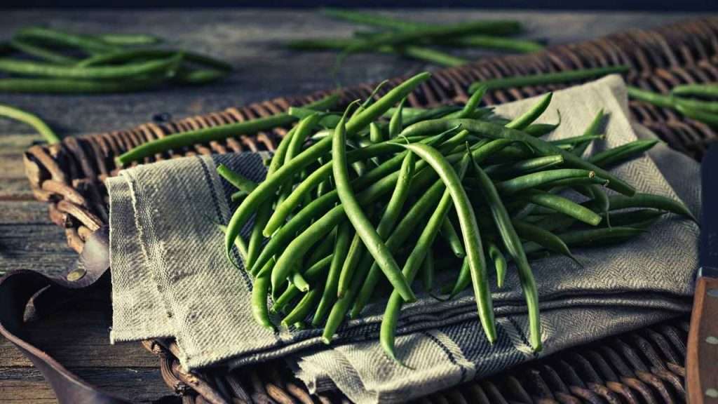 Classification Of Green Beans