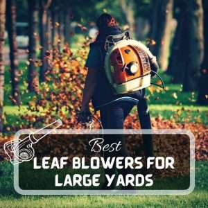 Best Leaf Blowers For Large Yards Futured