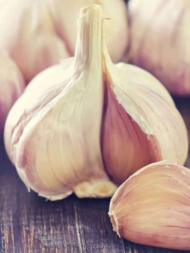 10 Garlic Growth Stages Story