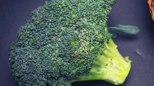 Can You Eat Broccoli With Black Spots? | Just Pure Gardening