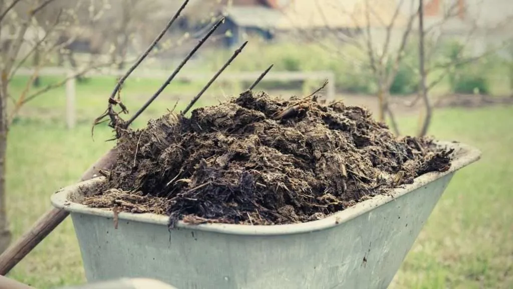 Composted Animal Manure, The Best Organic Fertilizer for Your Garden