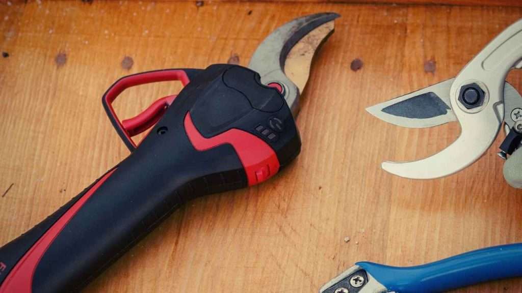 Maintenance of Electric Pruning Shears