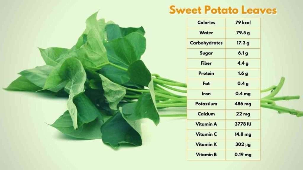 The Health Benefits Of Sweet Potato Leaves