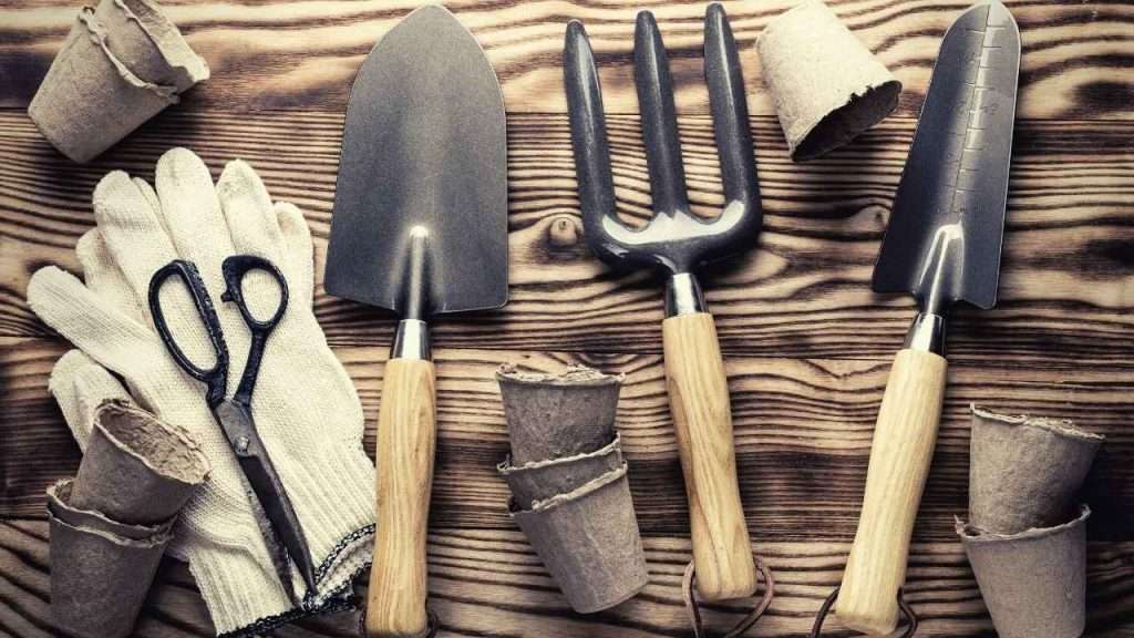 What Gardening Tools Do You Need?