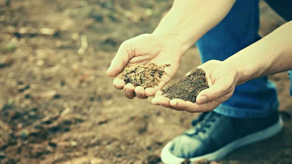 The Benefits of Soil Testing