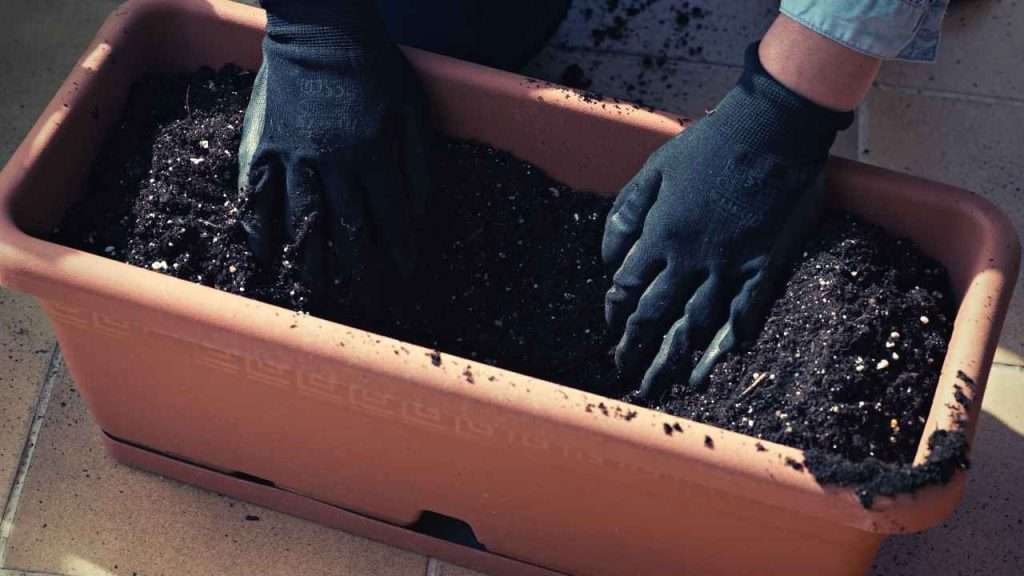 What To Consider When Buying The Best Potting Soil For Vegetables