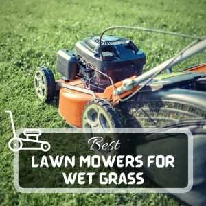 5 Best Lawn Mowers For Wet Grass | August 2023 | Just Pure Gardening