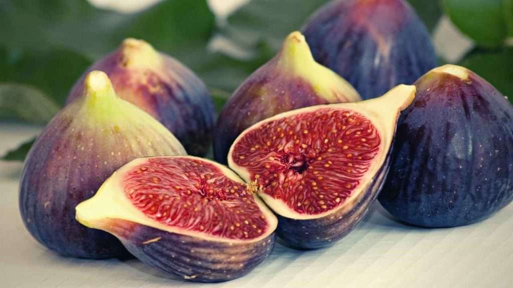 Fruits With Seeds - Figs