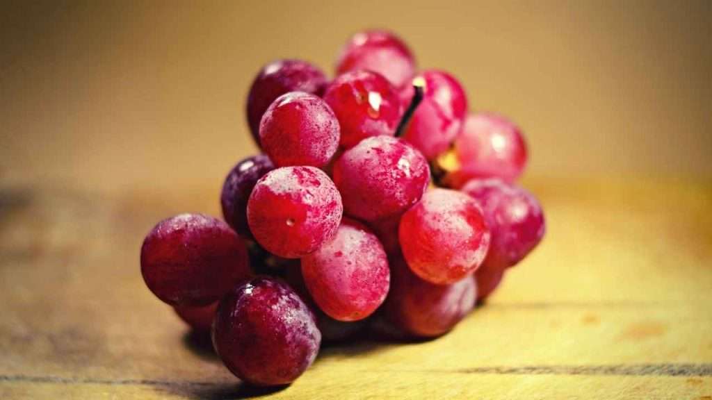 Fruits With Seeds - Grapes