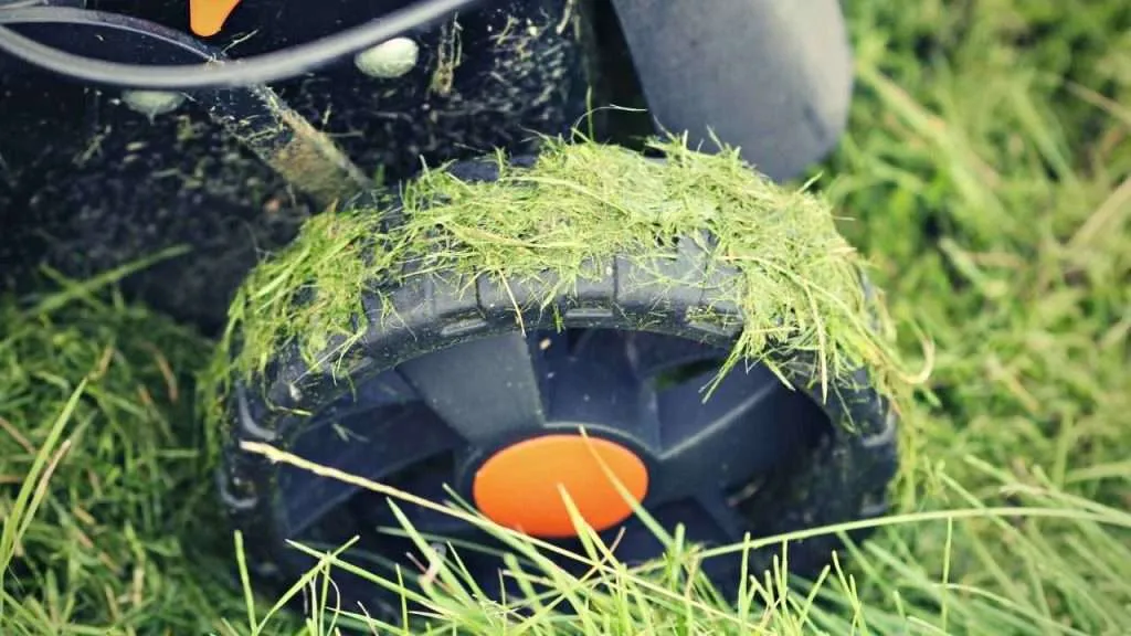 What Are The Downsides Of Using Lawn Mowers On Wet Grass?