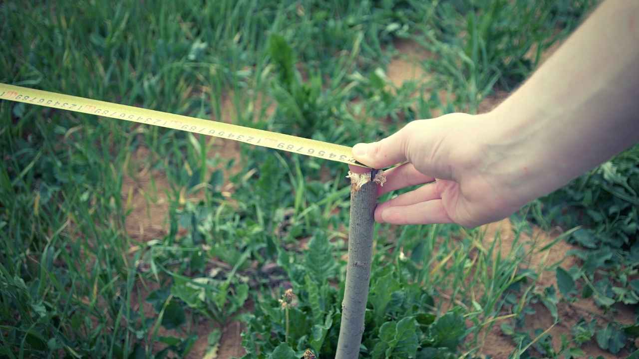 what-does-10000-square-feet-look-like-just-pure-gardening